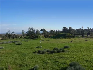 ZANATZIA в Суни-Занакии