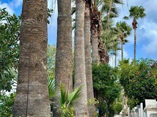 Kings Beach Park в Пафосе