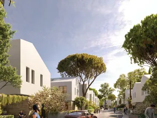 Synergy в Ороклини