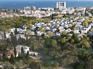 Synergy в Ороклини