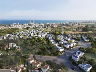 Synergy в Ороклини