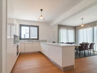 Haven в Палозии