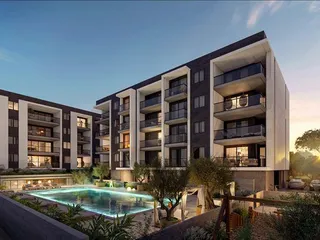 Ace в Закаки