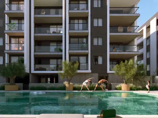 Ace в Закаки