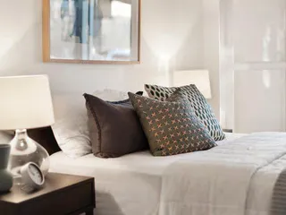 Singularis 43 в Закаки